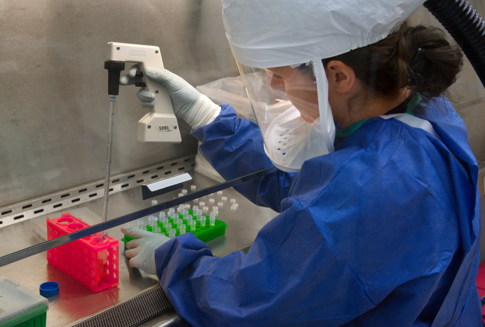 Scientist in protective gear pipetting samples inside a laboratory safety cabinet